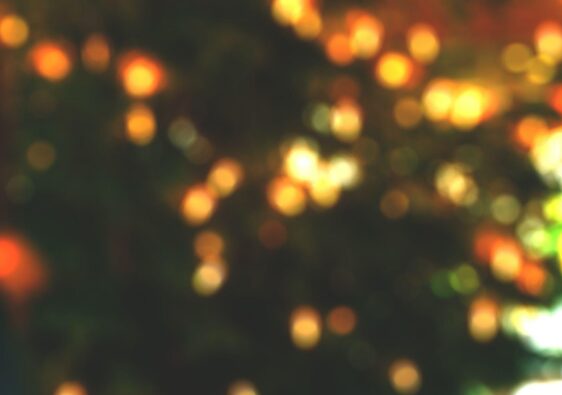 Pre-Lit 9-Foot Christmas Trees Make Decorating Easy